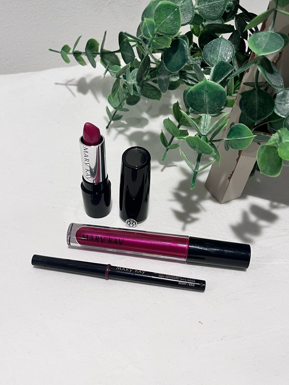 Mary Kay Lip Bundle
